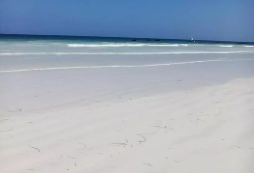 هتل Simba Oryx Beach Cottages