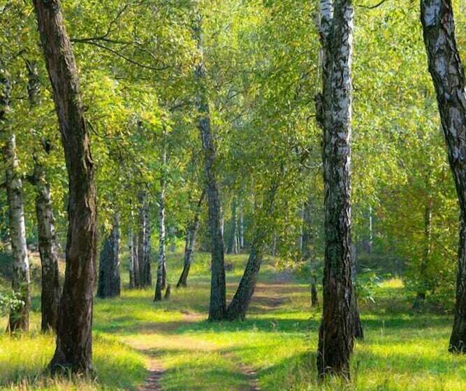 Panzió Guest House Kiev Forest