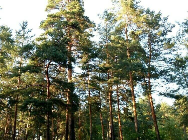 Panzió Guest House Kiev Forest
