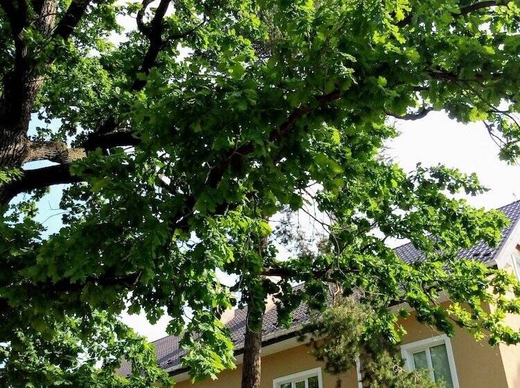 Panzió Guest House Kiev Forest