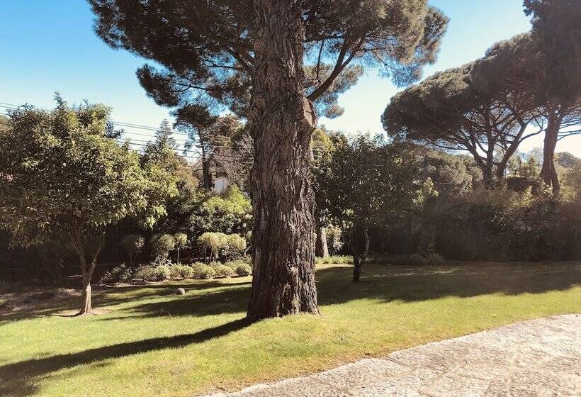 Soul Lab Residency Estoril   Hostel