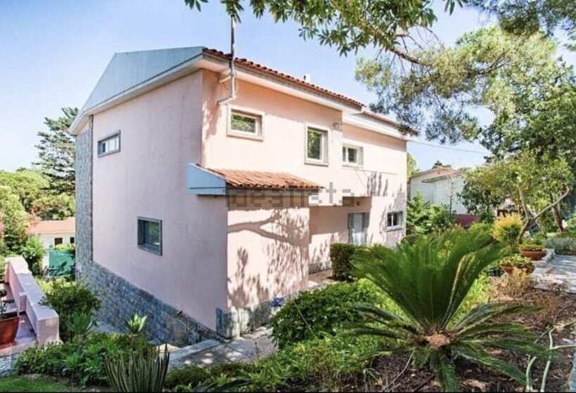 Soul Lab Residency Estoril   Hostel