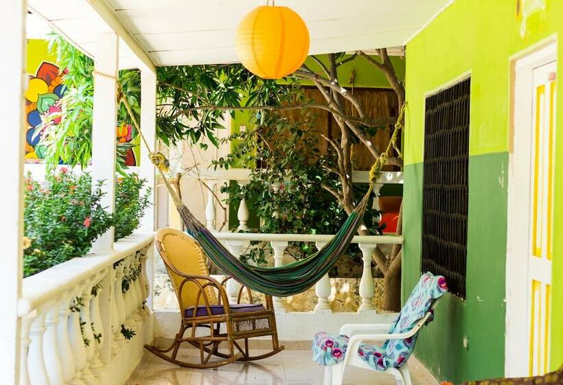 Hostal Garden House   Hostel