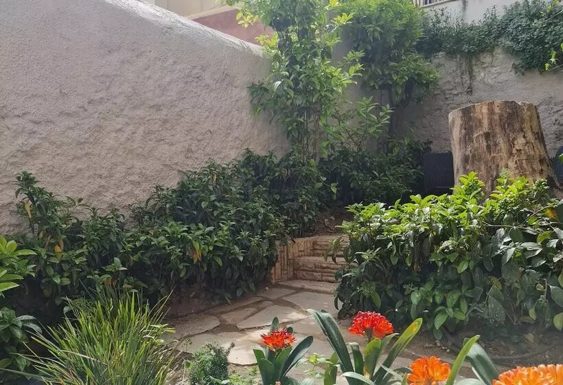 Cityzoe Athens Suites