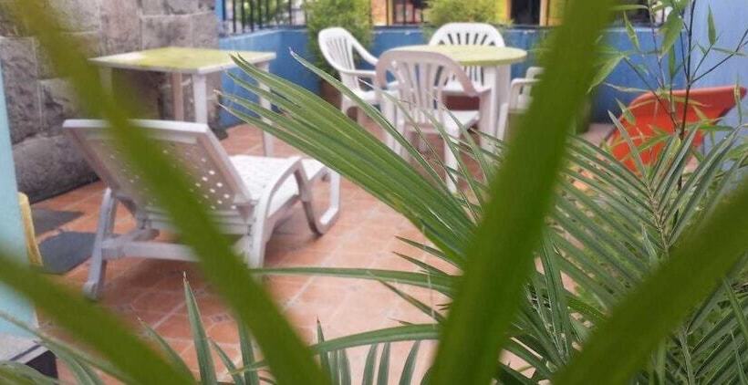 Color House Petitte   Hostel