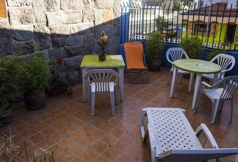 Color House Petitte   Hostel