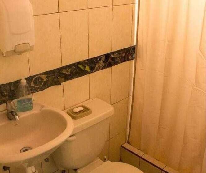 Color House Petitte   Hostel