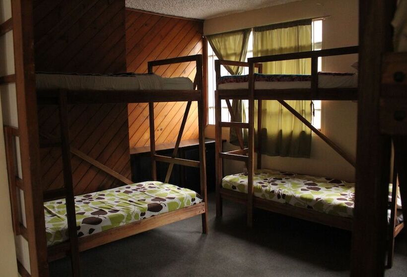 Color House Petitte   Hostel