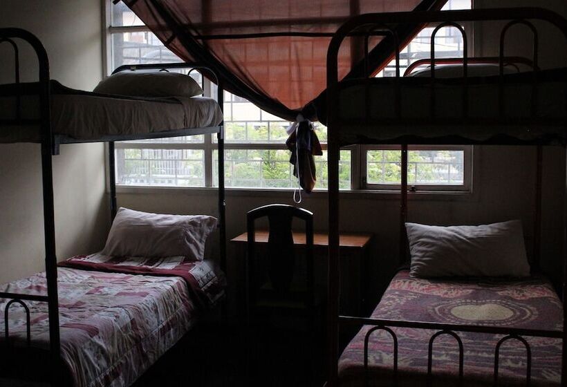 Color House Petitte   Hostel