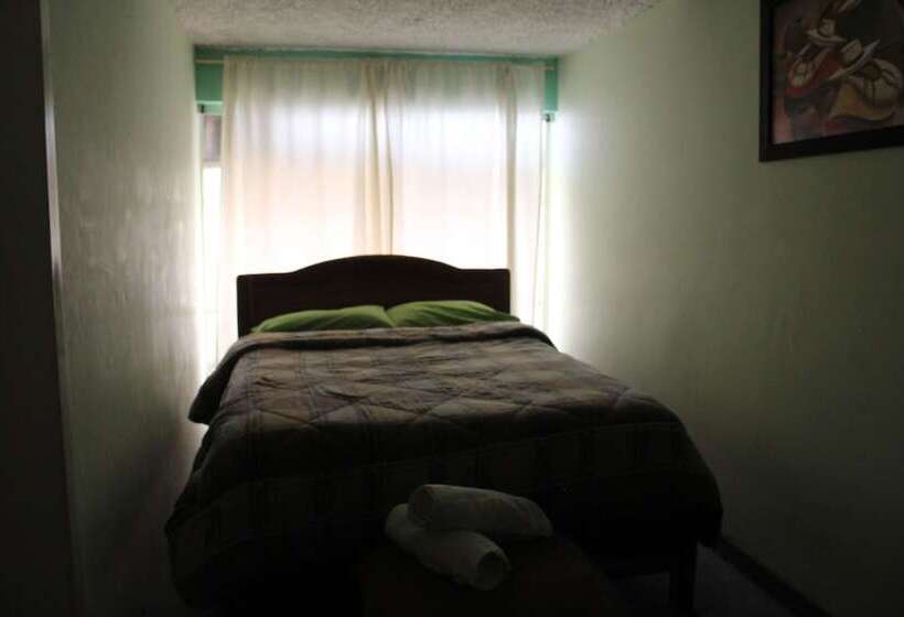 Color House Petitte   Hostel