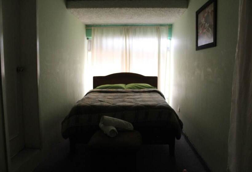 Color House Petitte   Hostel