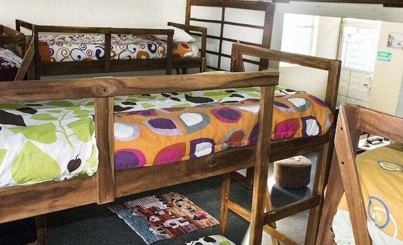 Color House Petitte   Hostel