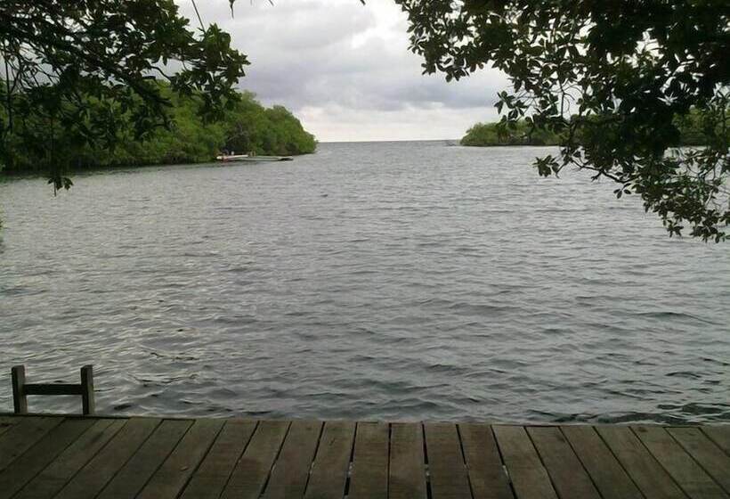 مسافرخانه Ecohotel Las Palmeras