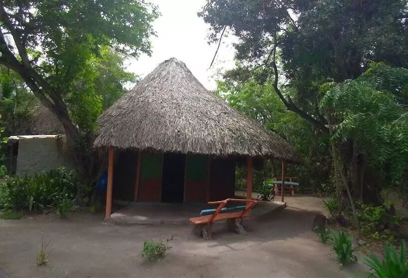 簡易ホテル Ecohotel Las Palmeras