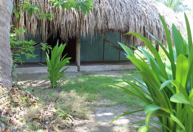 مسافرخانه Ecohotel Las Palmeras