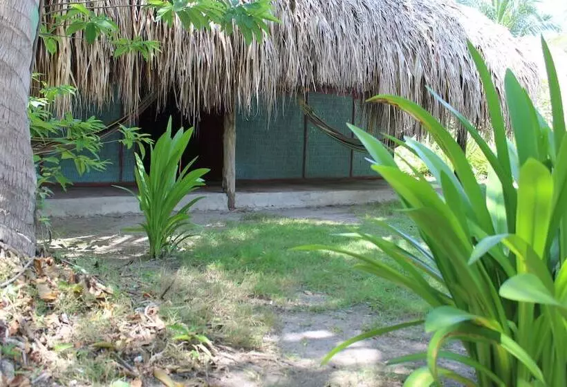 簡易ホテル Ecohotel Las Palmeras