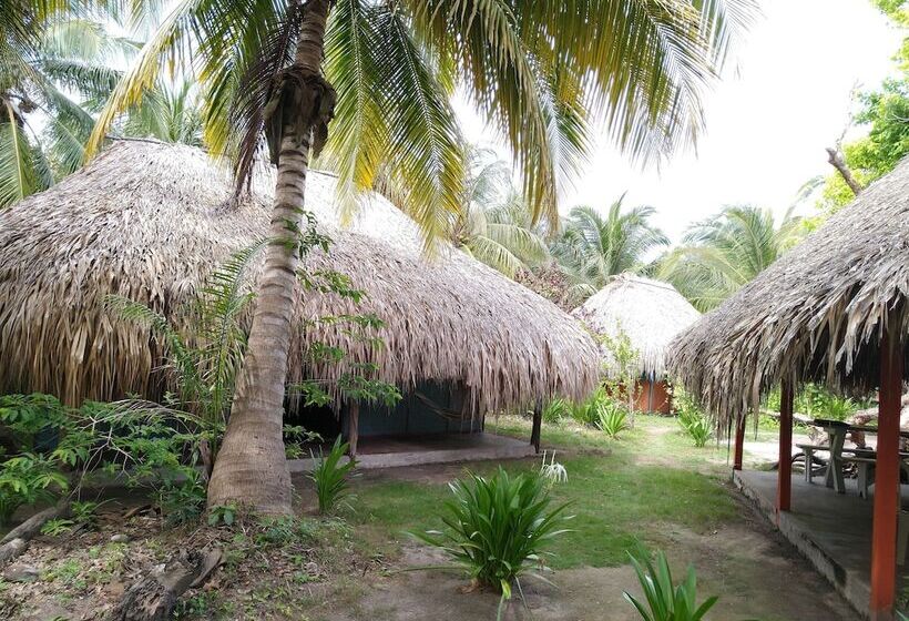 مسافرخانه Ecohotel Las Palmeras