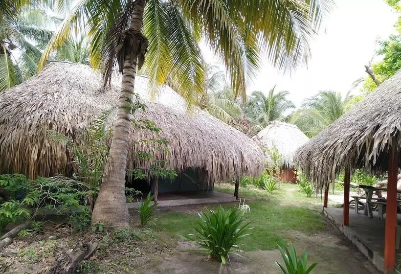 簡易ホテル Ecohotel Las Palmeras