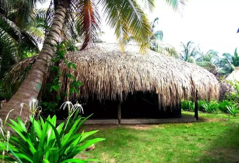 簡易ホテル Ecohotel Las Palmeras