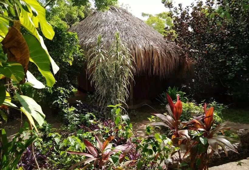 簡易ホテル Ecohotel Las Palmeras