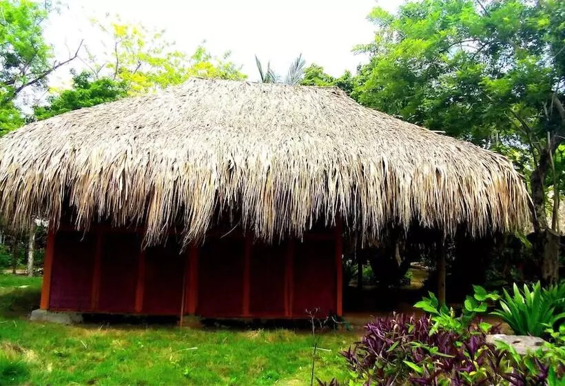 簡易ホテル Ecohotel Las Palmeras