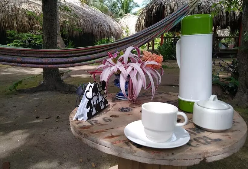 簡易ホテル Ecohotel Las Palmeras