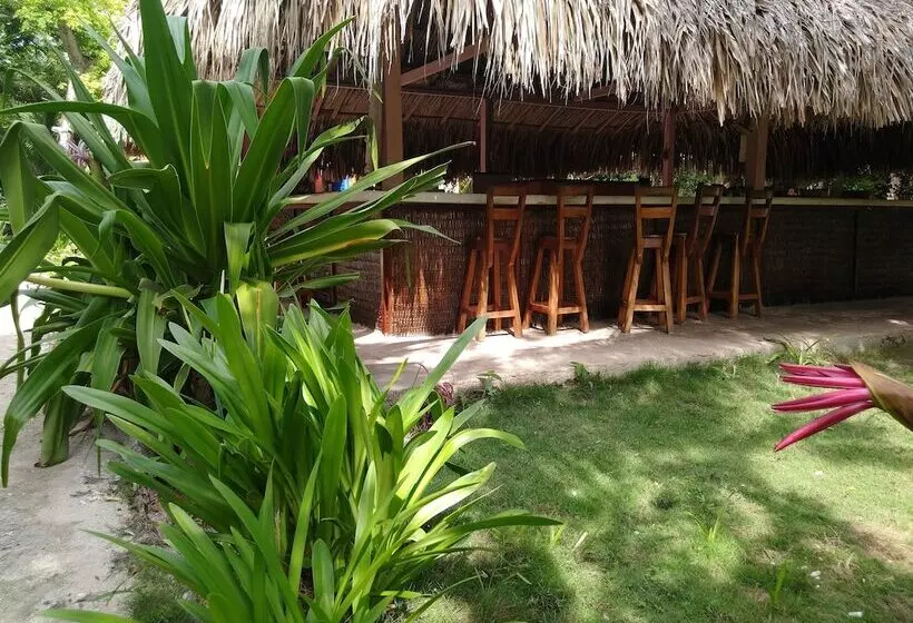 簡易ホテル Ecohotel Las Palmeras