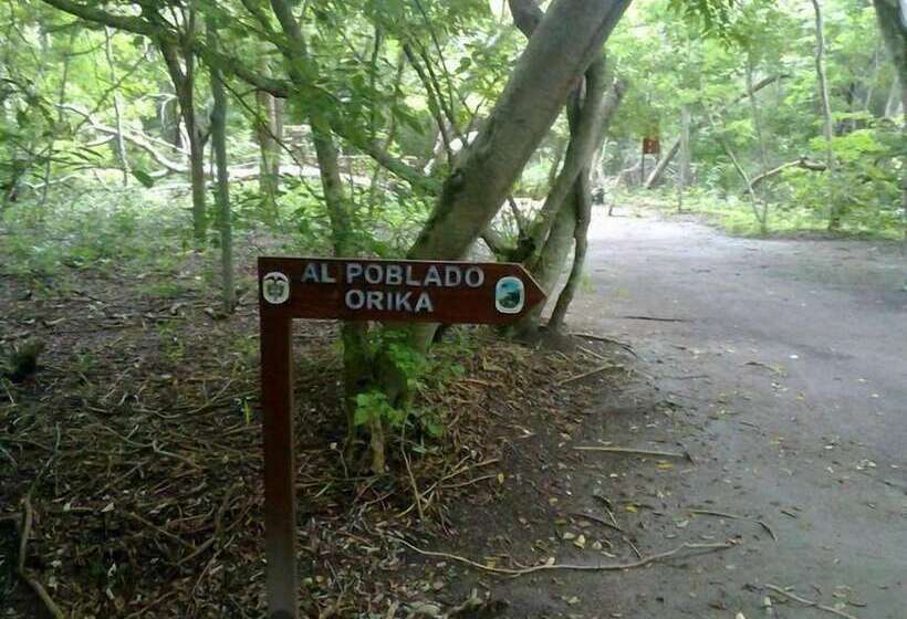 مسافرخانه Ecohotel Las Palmeras