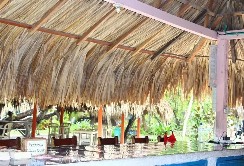 簡易ホテル Ecohotel Las Palmeras