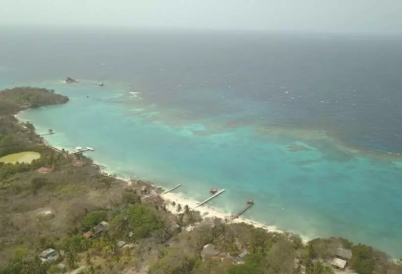 簡易ホテル Ecohotel Las Palmeras