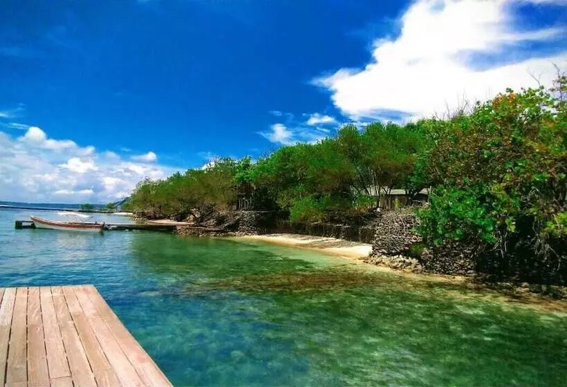 簡易ホテル Ecohotel Las Palmeras