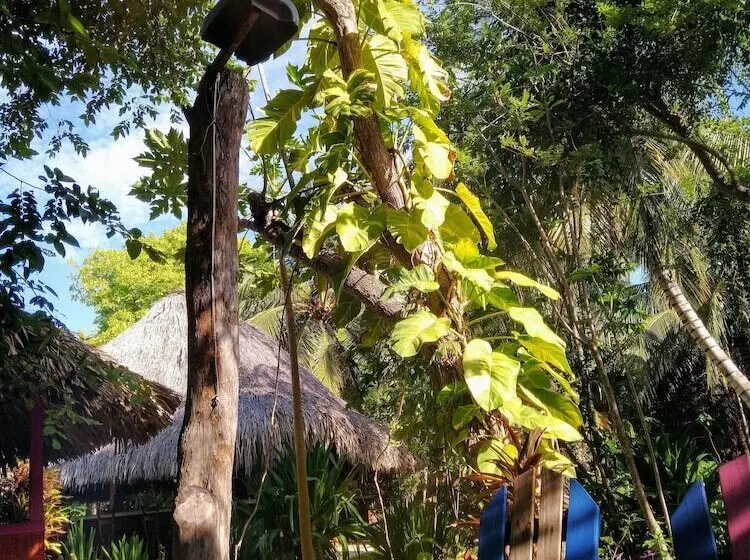 簡易ホテル Ecohotel Las Palmeras