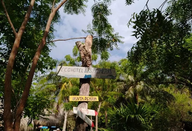 簡易ホテル Ecohotel Las Palmeras