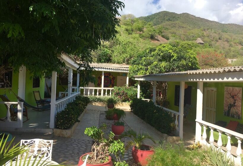 Hostal Garden House   Hostel