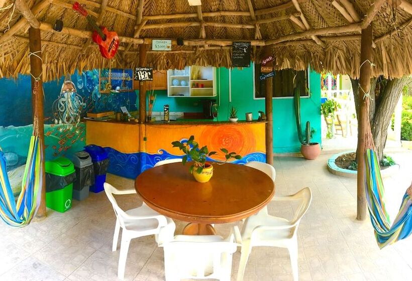 Hostal Garden House   Hostel