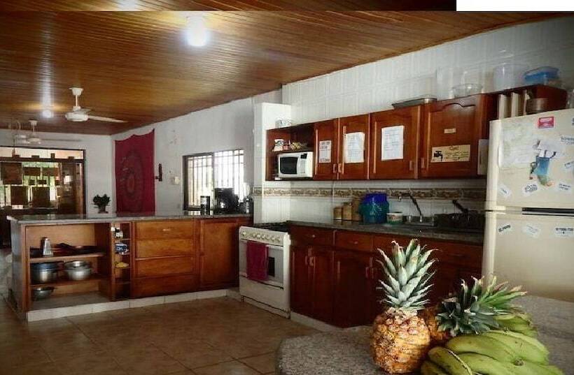 Hostal Garden House   Hostel