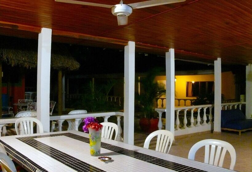 Hostal Garden House   Hostel