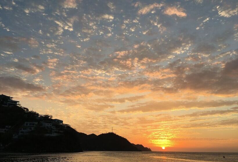 Hostal Garden House   Hostel