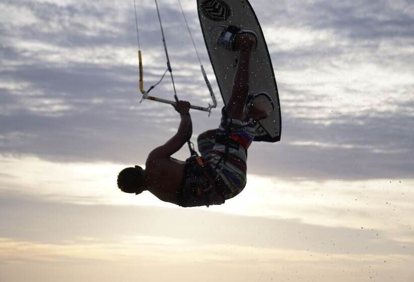 Hostal Garden House   Hostel