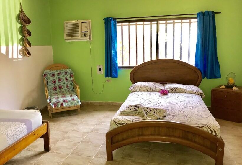 Hostal Garden House   Hostel