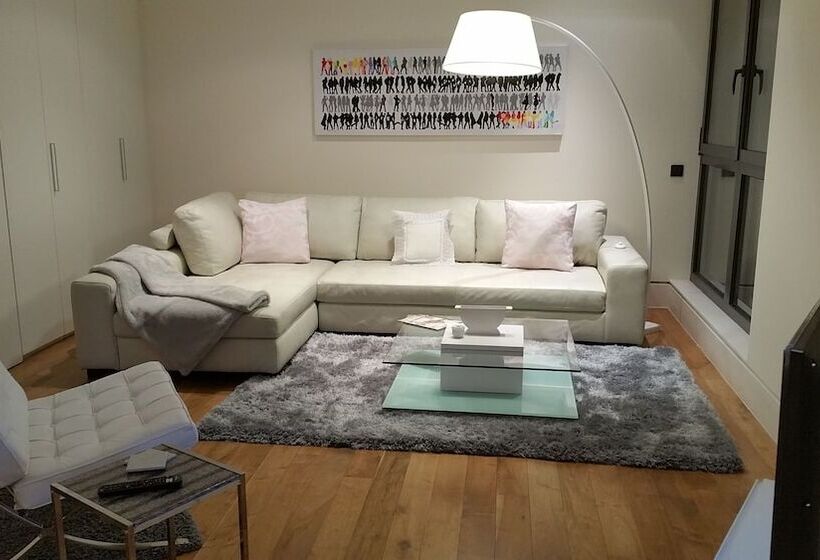 هتل Apartamento De Lujo Velazquez 160 Madrid