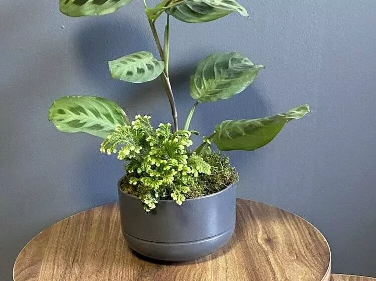 Hotelli Inalens Airport