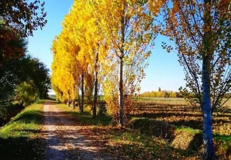 田舎風ホテル Agriturismo Colombera