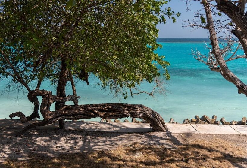 بنسيون Lago De Los Sueños Island
