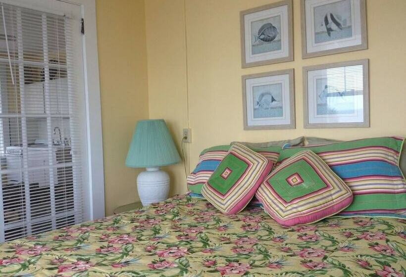 Sun N Fun Beachfront Vacation Rentals