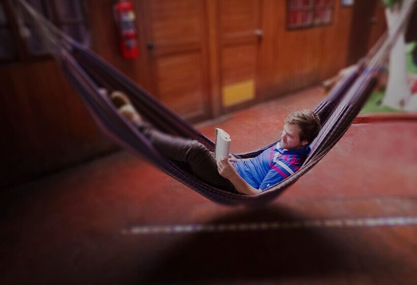 The Point Lima Hostel