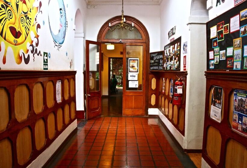 The Point Lima Hostel