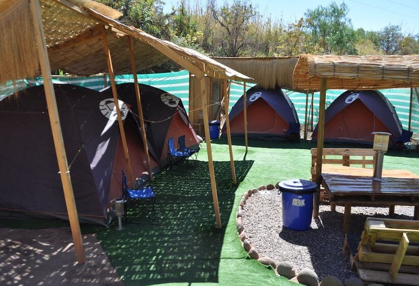 酒店 Altos De Quitor, Glamping