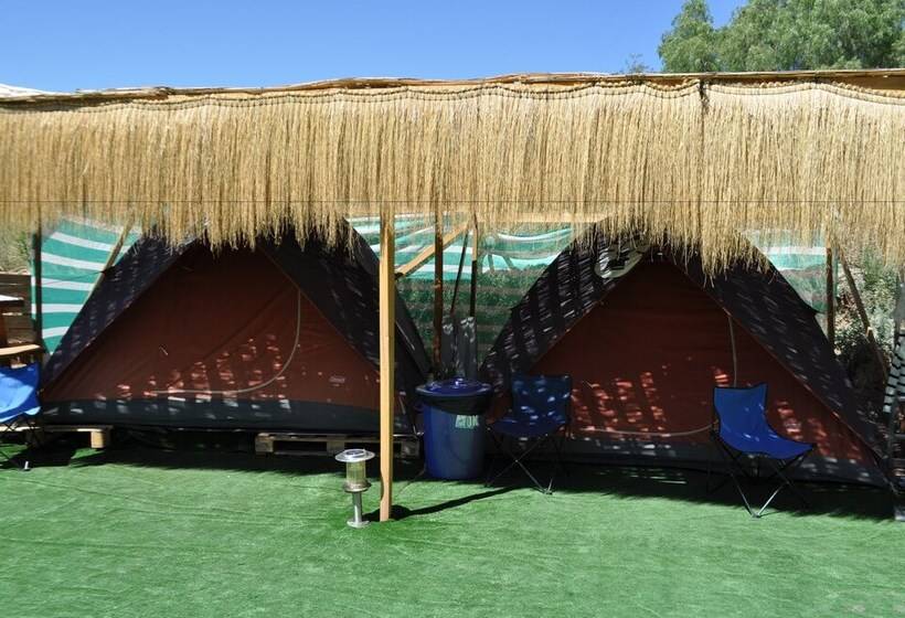 酒店 Altos De Quitor, Glamping