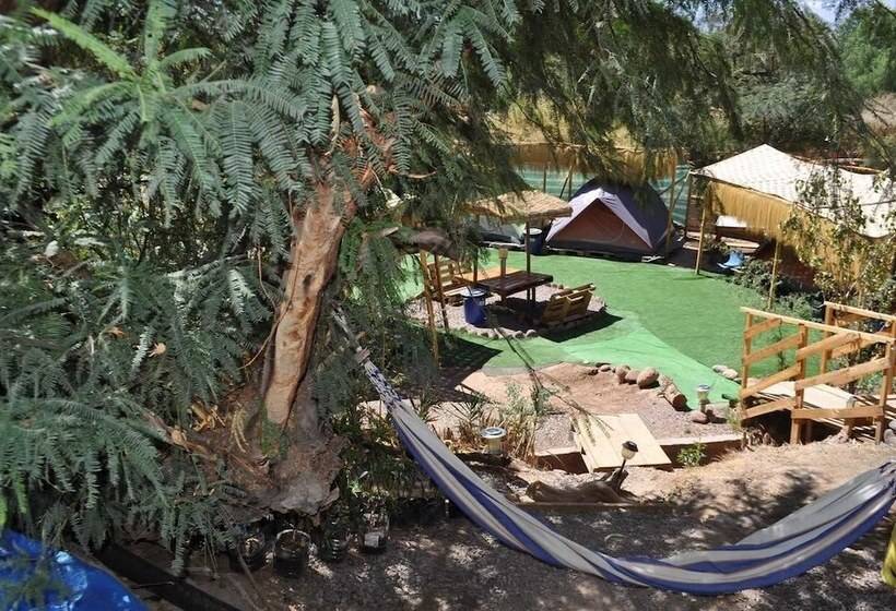 酒店 Altos De Quitor, Glamping